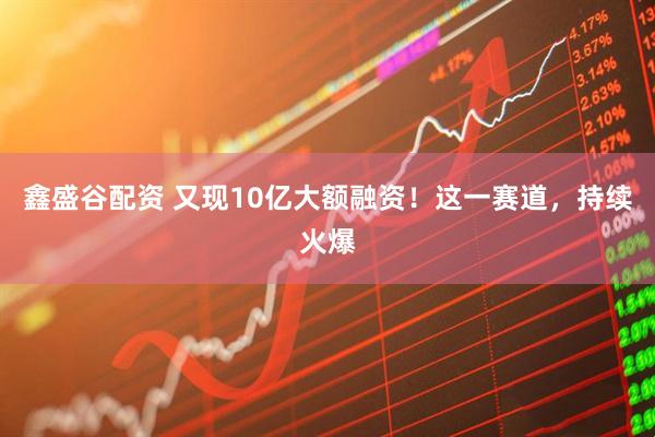 鑫盛谷配资 又现10亿大额融资！这一赛道，持续火爆