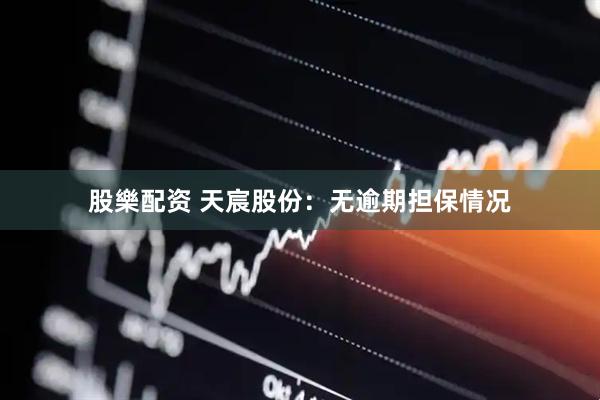 股樂配资 天宸股份：无逾期担保情况