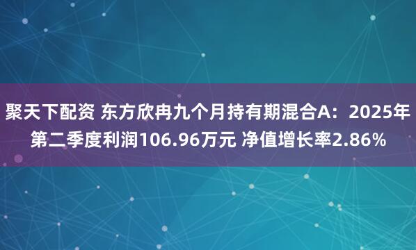 聚天下配资 东方欣冉九个月持有期混合A：2025年第二季度利润106.96万元 净值增长率2.86%