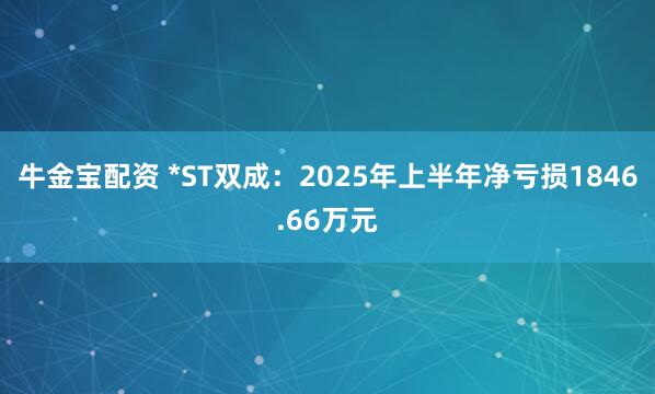 牛金宝配资 *ST双成：2025年上半年净亏损1846.66万元